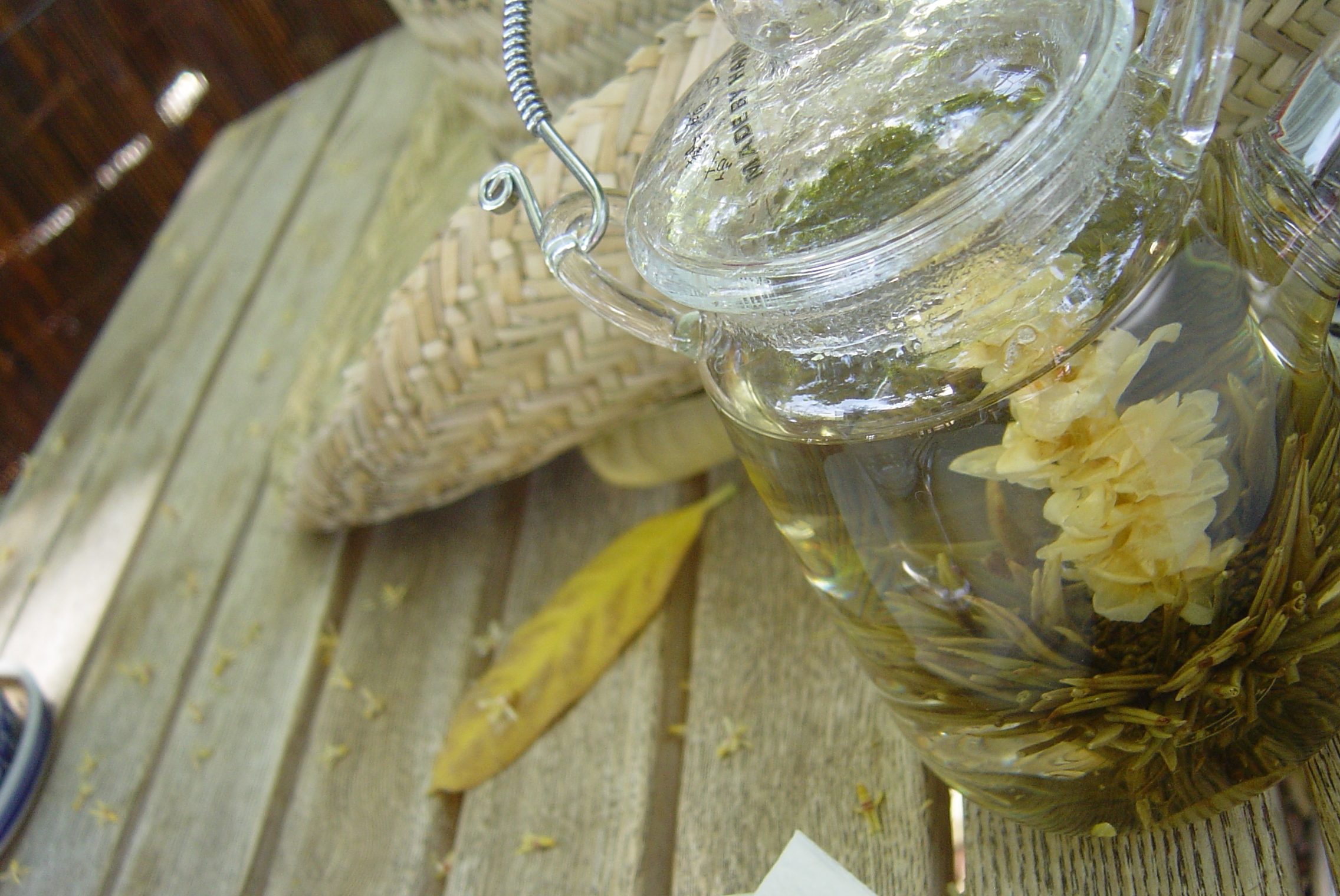 lord snowdon’s bicycle