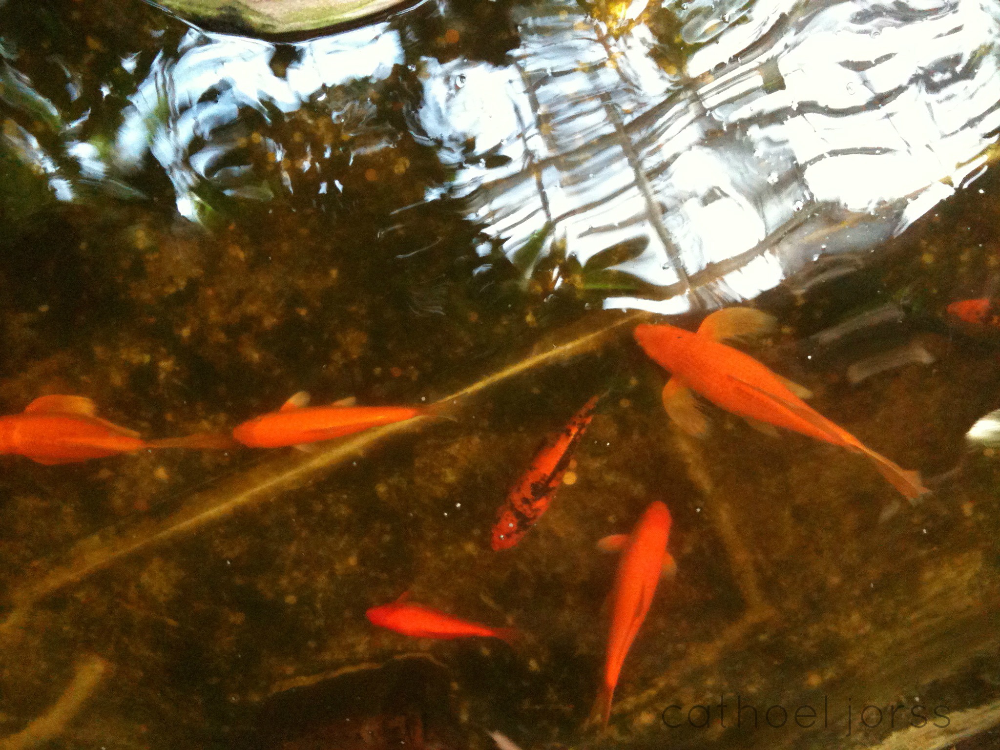 a novel filled with good advice