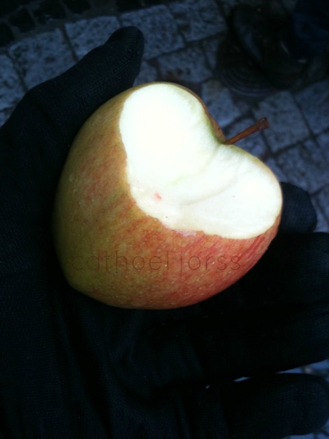 a thousand species of money, each bigger-eyed than the last