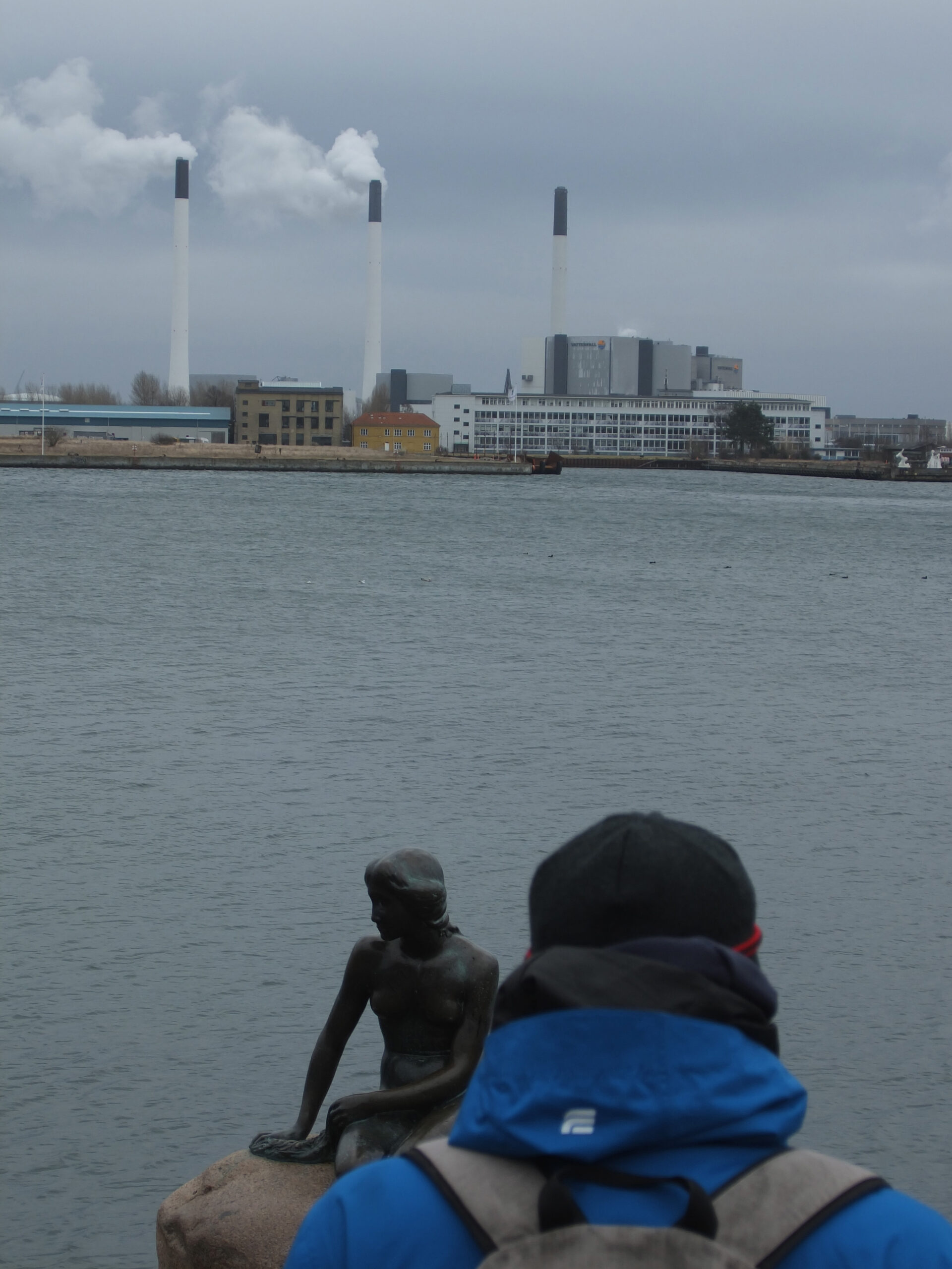 manhood: let’s rejoice