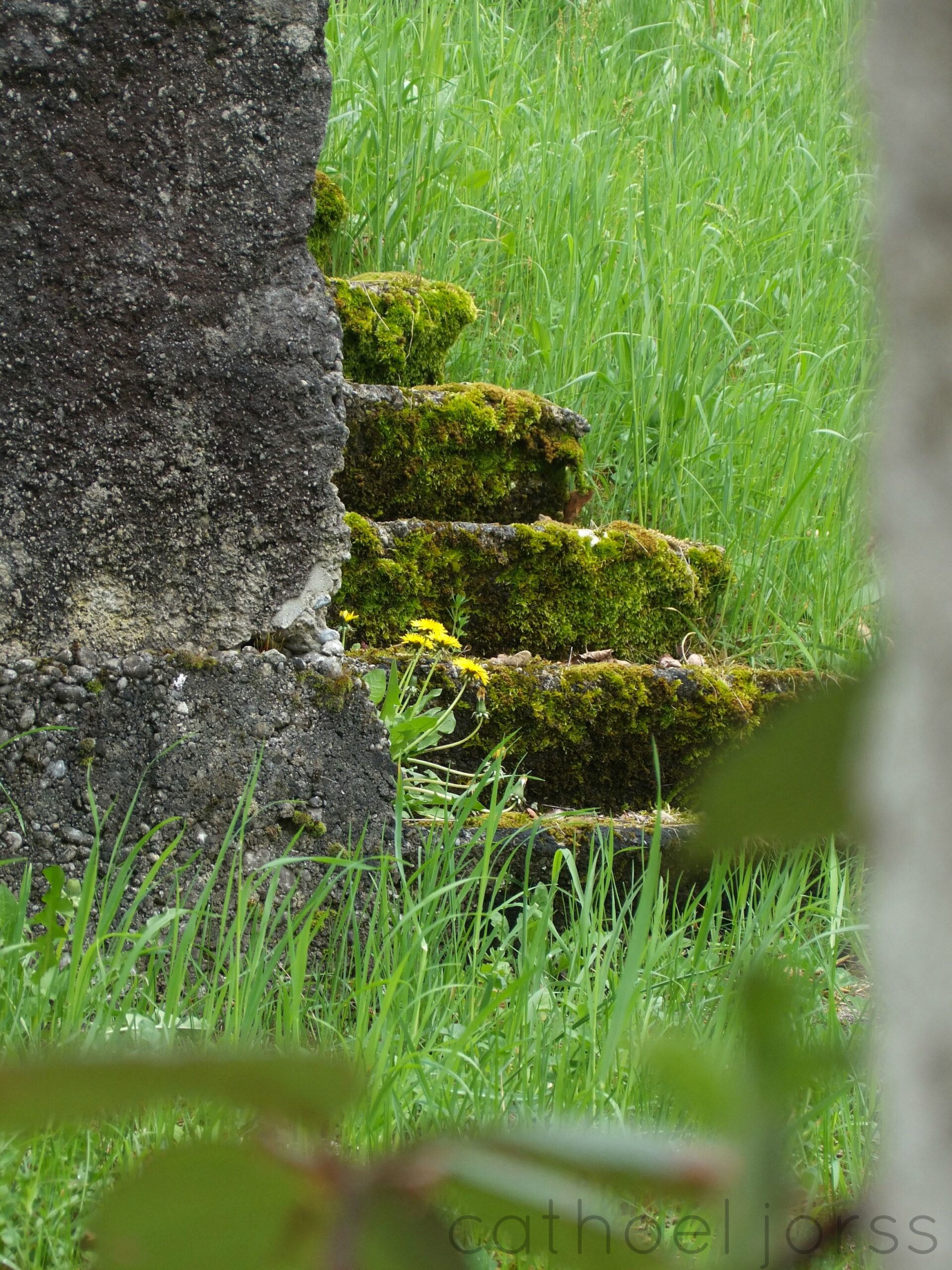 a book’s a passport