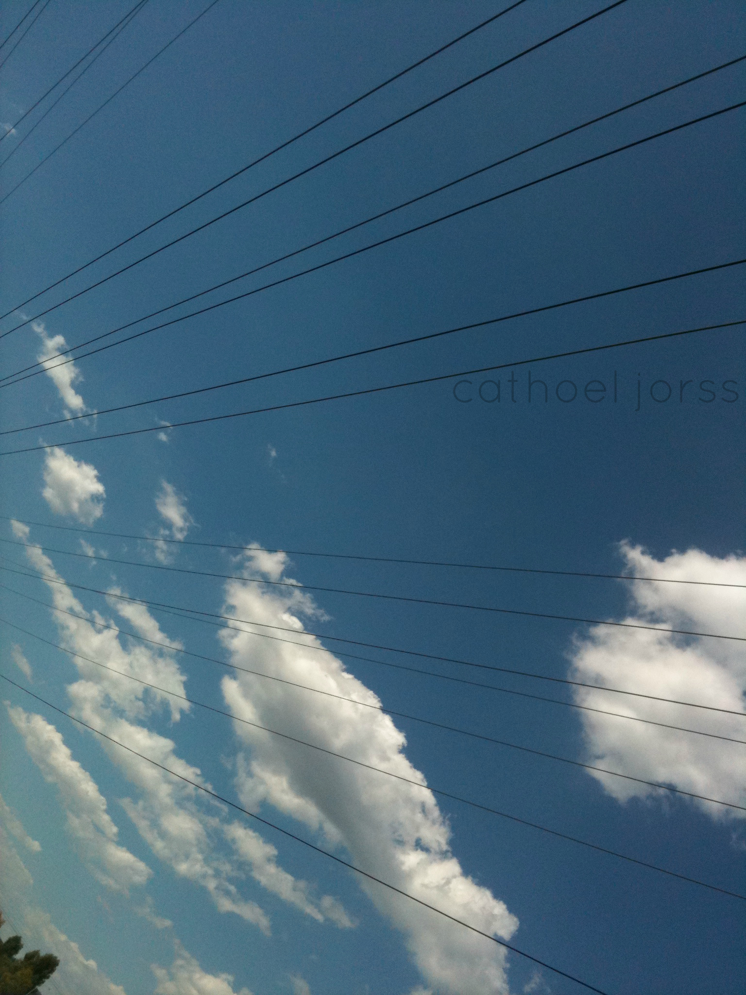 the coins, the crowns