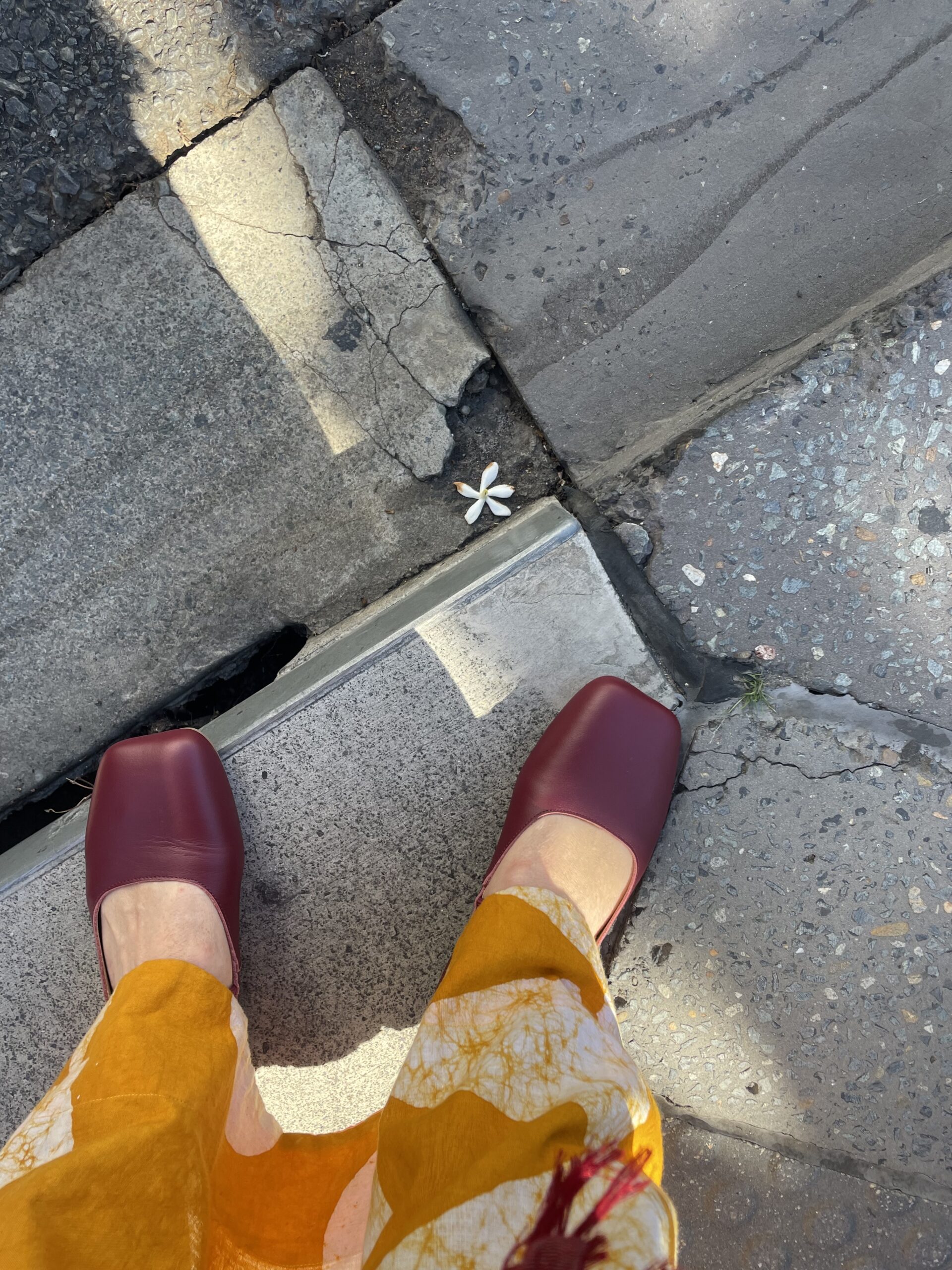 shriveled bulb of god